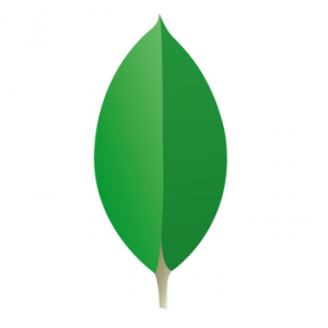 10gen Presents mongodb For Developers at R/GA U