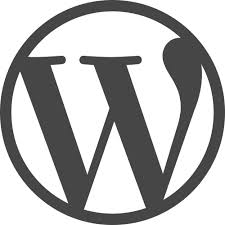 Over the past few years, I have had the opportunity to work on several internal and external WordPress-based R/GA websites. My experience and knowledge of the WordPress CMS has grown with each new project, and here are the tips and tricks that I’ve used most often.